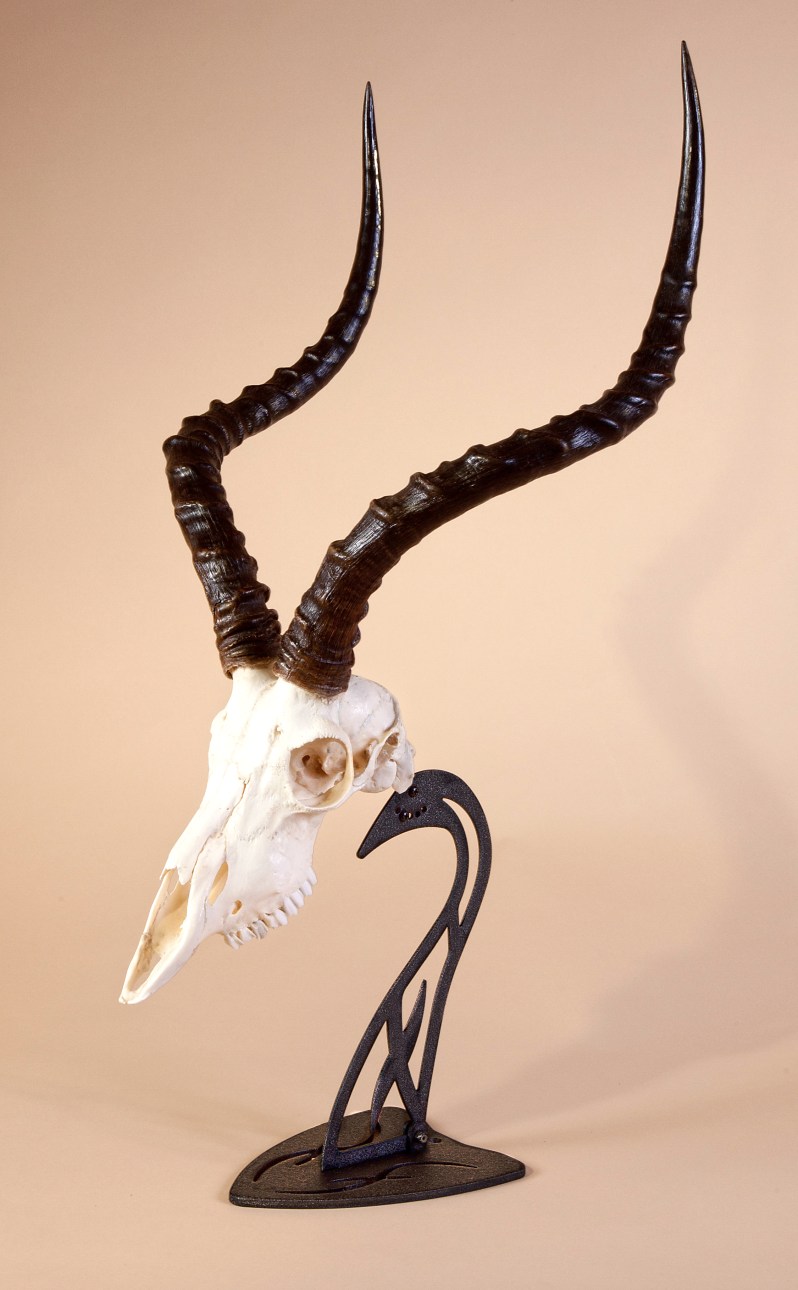 SH_Table_Mount_Impala