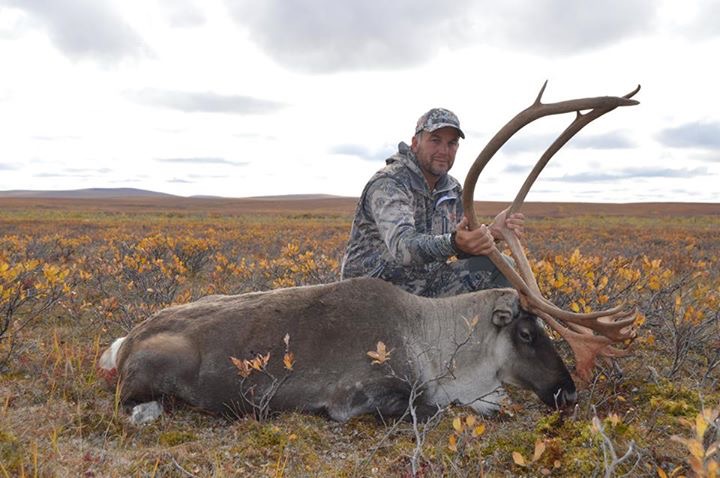 Robert Newland Caribou 3