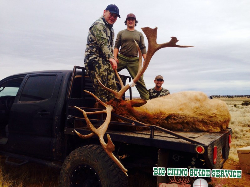 Big Chino Elk