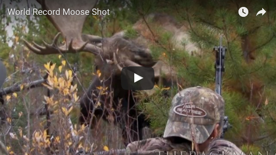 Video: Up-Close Shot on a World Record Moose – Rack Camp