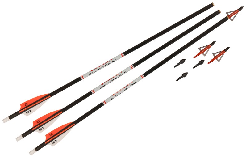 muzzy-bat-to-the-bone