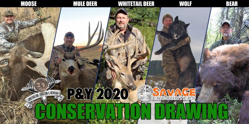 2020ConservationImage