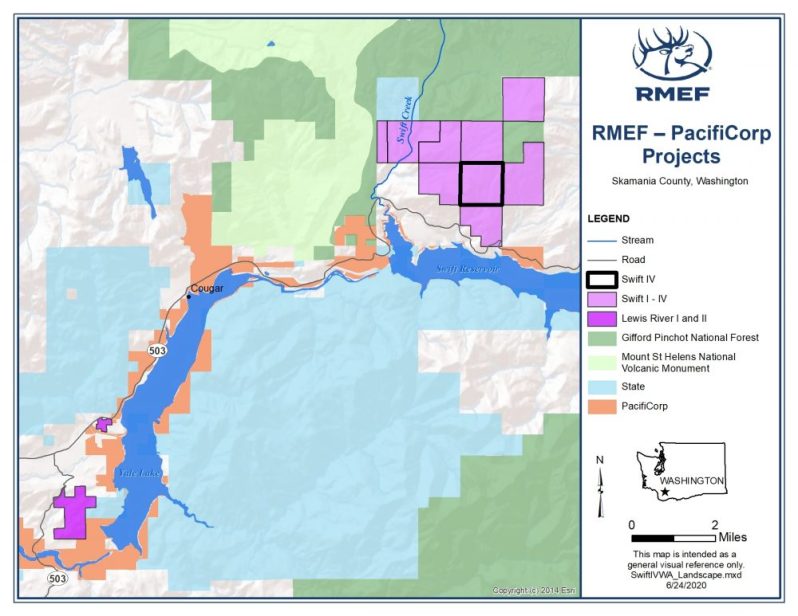 Review2_SwiftIVWA_Landscape-1-1000x773