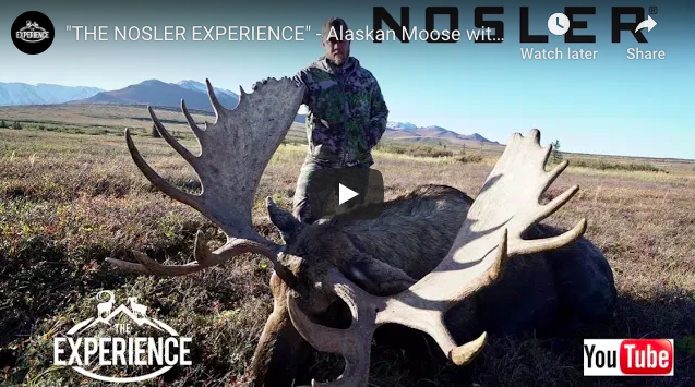 Big Rack Moose Video: Hunting Giant Moose in Alaska – Rack Camp