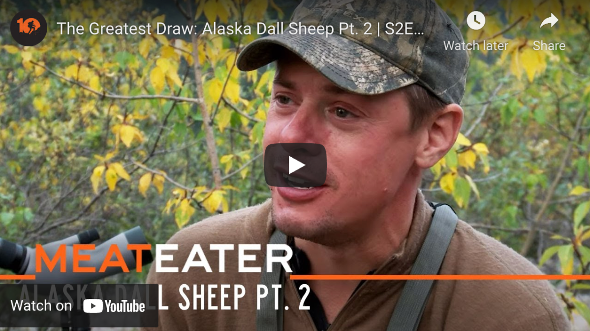 Show MeatEater Season 2, Episode 11 Hunting Dall Sheep in Alaska