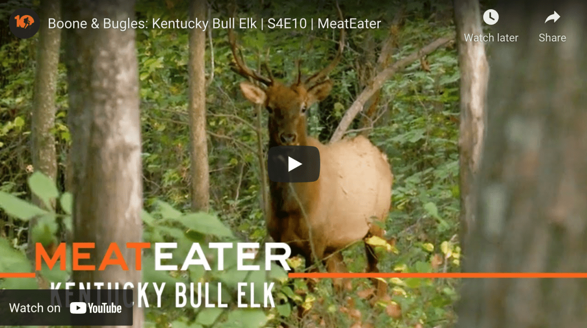 Show MeatEater Season 4, Episode 10 Hunting Elk in Kentucky Rack Camp