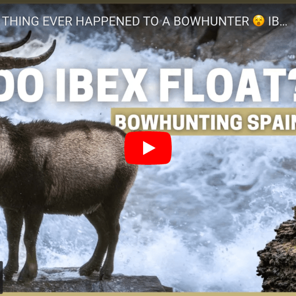 a video cover image of an ibex and a bowhunter in front of a raging river