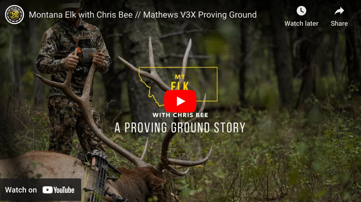 Video Bowhunting Big Bull Elk in Montana Rack Camp