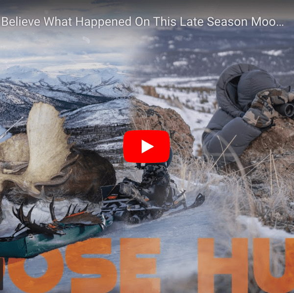 video cover image depicting scenes from a moose hunt