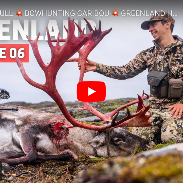 video cover image of a bowhunter with a dead caribou