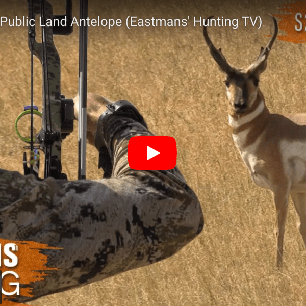 video cover image of a bowhunter and an antelope