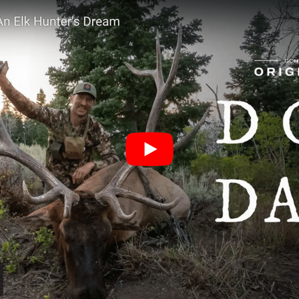 video cover image of a hunter with a bull elk