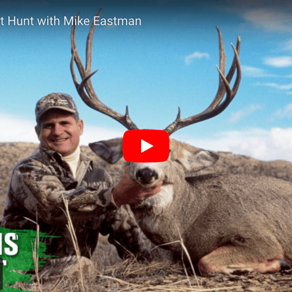 video cover image of a hunter holding a mule deer